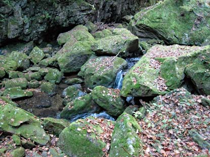 赤目四十八滝（縋り藤の小滝）　日本漢文の世界 kambun.jp
