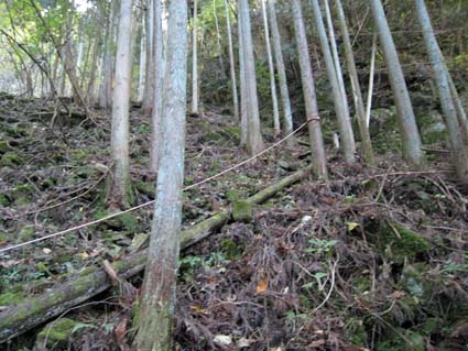 赤目四十八滝（大日滝）　日本漢文の世界 kambun.jp