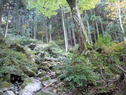 赤目四十八滝（大日滝）　日本漢文の世界 kambun.jp