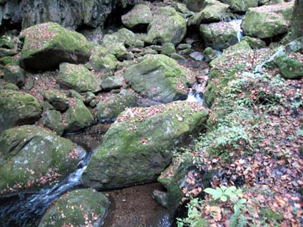 赤目四十八滝の大岩郡　日本漢文の世界 kambun.jp
