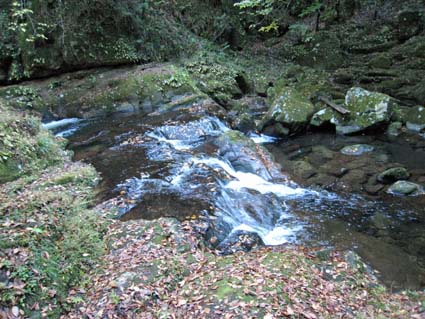 赤目四十八滝（斜滝）　日本漢文の世界 kambun.jp