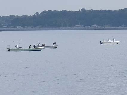 浜名湖の釣り舟　日本漢文の世界