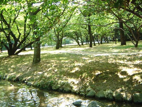 京都御苑　日本漢文の世界