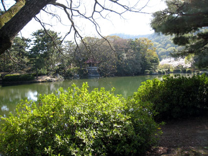 栗林公園の群鴨池