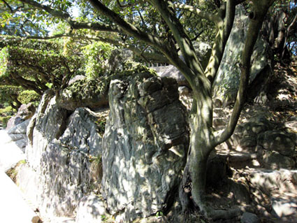 栗林公園飛猿巌
