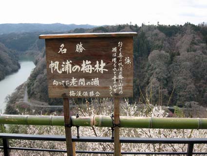 月ヶ瀬梅渓（帆浦梅林）　日本漢文の世界 kambun.jp
