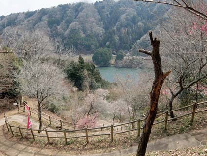月ヶ瀬梅渓（一目千本）　日本漢文の世界 kambun.jp