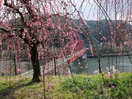 月ヶ瀬梅渓（月の瀬附近）　日本漢文の世界 kambun.jp